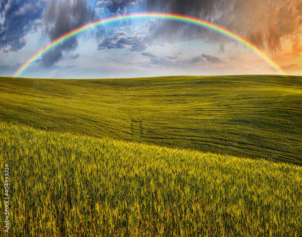 Scenic view of rainbow over green field Scenic view of rainbow over green field