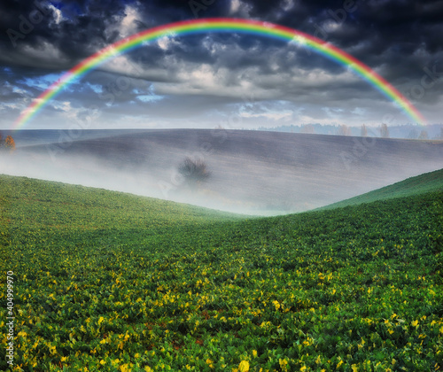 Scenic view of rainbow over green field