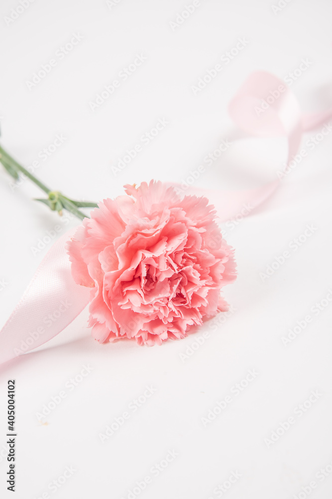 Pink carnation mother's day blessing flowers Pink carnation mother's day blessing flowers