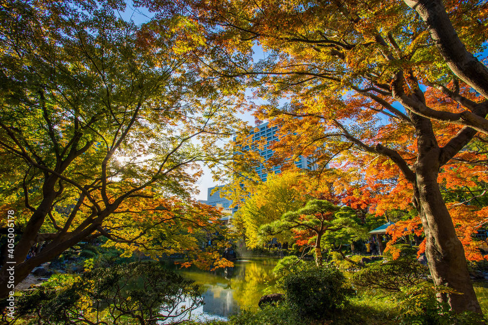 秋の日比谷公園 秋の日比谷公園
