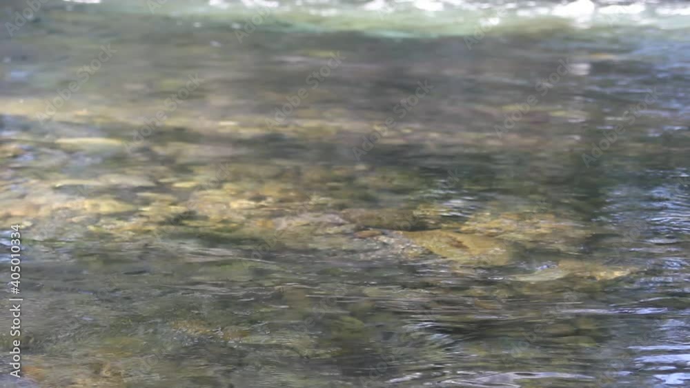 Idaho River by Skip Weeks Idaho River by Skip Weeks