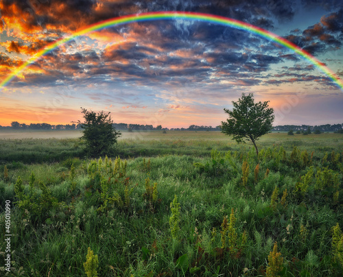 Rainbow over a meadow in the spring. colorful morning