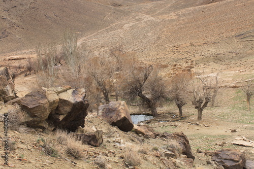 lake in desert