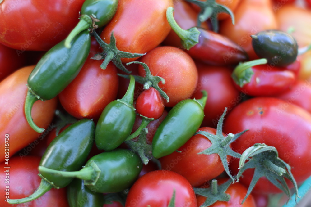 There's adventure in the garden's bounty There's adventure in the garden's bounty