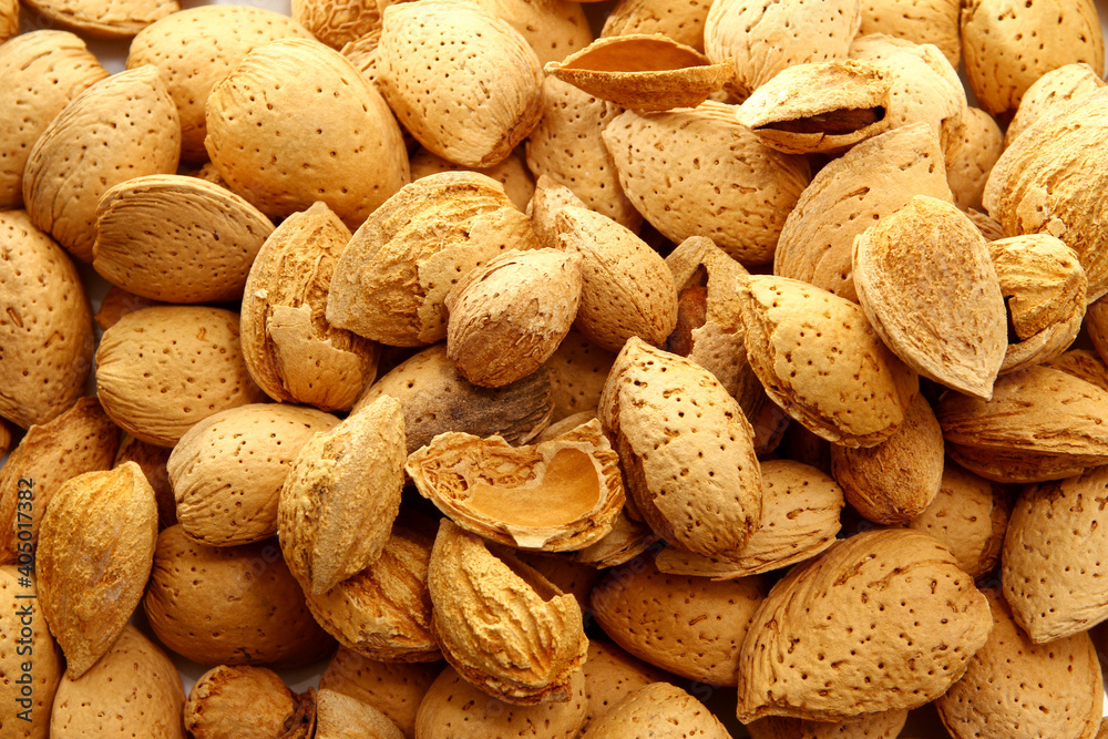 Shell raw almonds are delicious and healthy for snacking Shell raw almonds are delicious and healthy for snacking