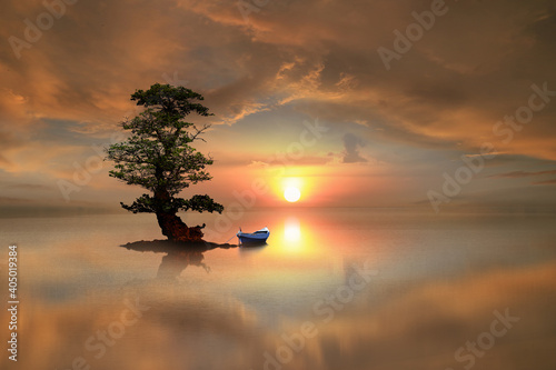 amazing tree & the boat on the sea