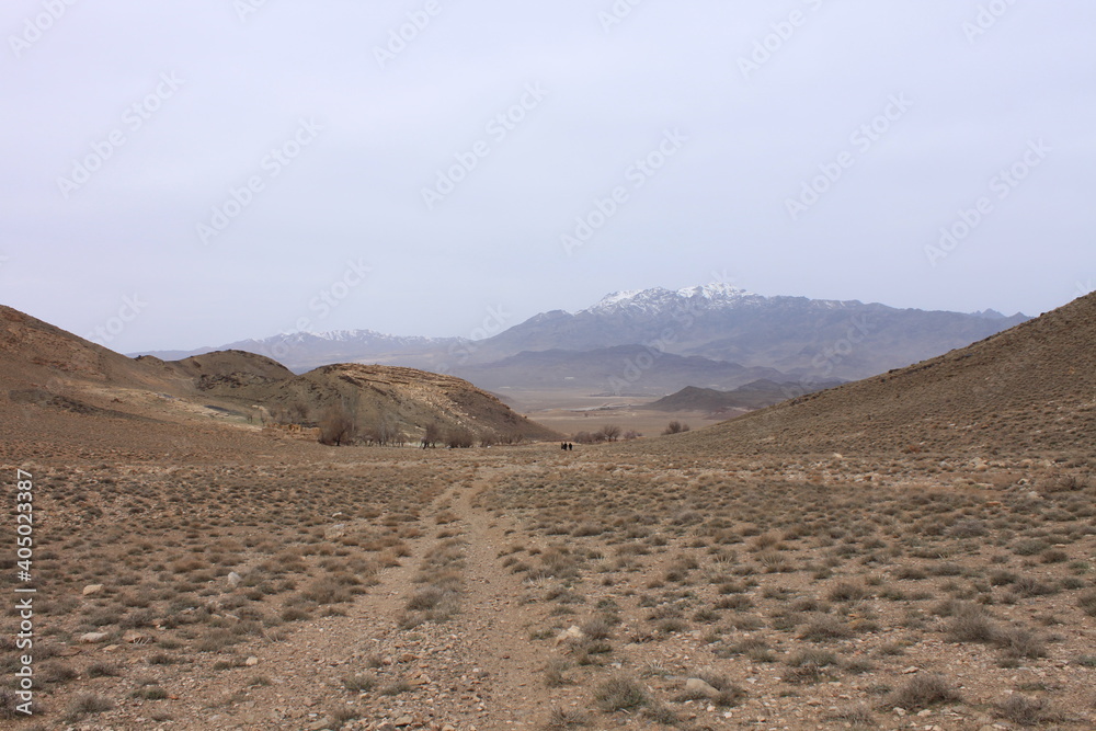 desert landscape desert landscape