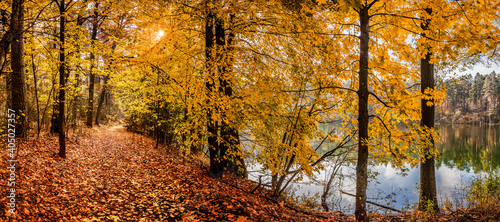 Fototapeta Naklejka Na Ścianę i Meble -  jesień na Mazurach w północno-wschodniej Polsce
