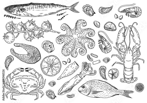 Seafood big set. Ink sketch isolated on white background. Hand drawn vector illustration. Retro style.