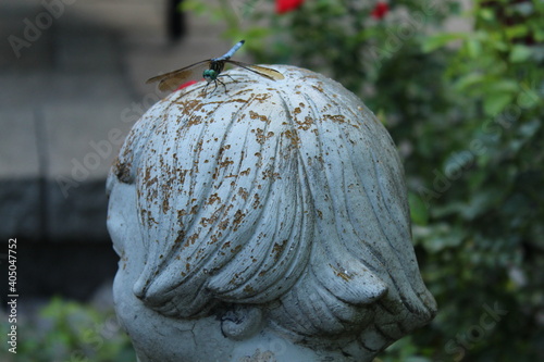dragonfly on statue