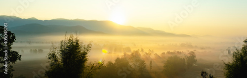 The beautiful panorama landscape of the tree in the rice fields, The sun's rays through at the top of the hill and the moving fog over the tree, Chiang Rai Northern Thailand.