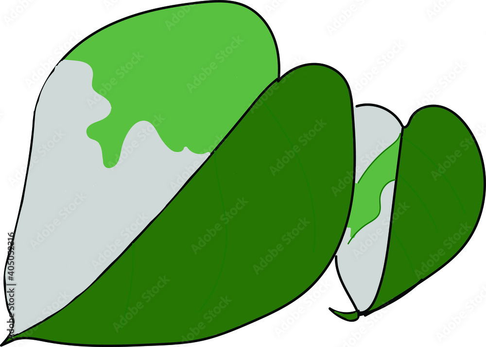Continuous line Monstera leaves Natural one line drawing art. Style. Abstract minimal simple vector illustration. Continuous line Monstera leaves Natural one line drawing art. Style. Abstract minimal simple vector illustration.