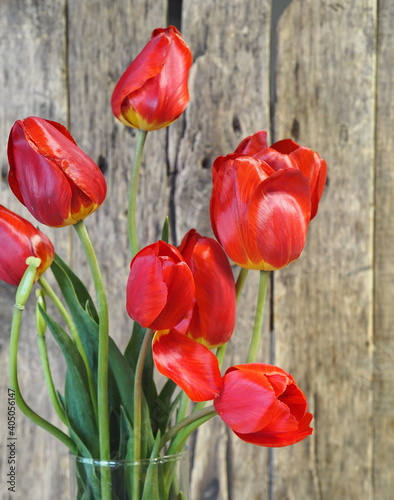 Bouquet of red tulips in a glass vase on a wooden ancient background.