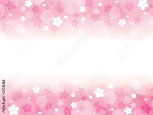 桜　サクラ　背景　カード　横型