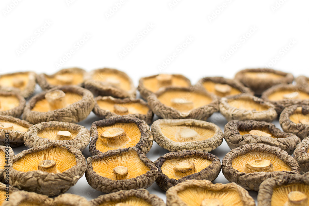Chinese dried edible mushrooms on white background