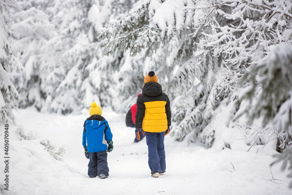 Sweet happy children, brothers, playing in deep snow in forest, frosted trees