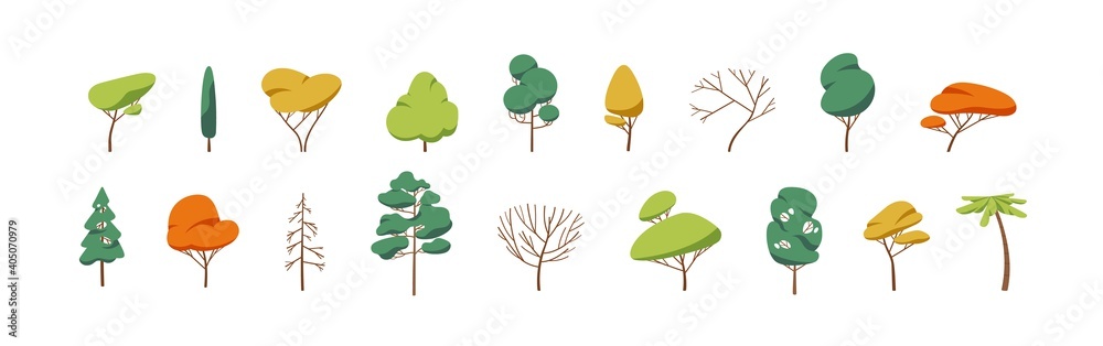 Collection of deciduous and evergreen forest plants isolated on white background. Botanical collection of bare trees and ones with leaves and lush crowns. Flat vector illustration on white background