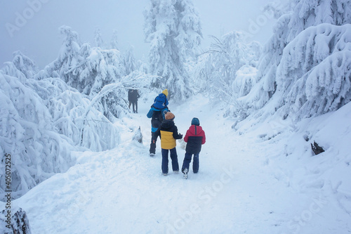 Happy family witn children, hiking in mountains wintertime, lots of snow, beautiful winter forest