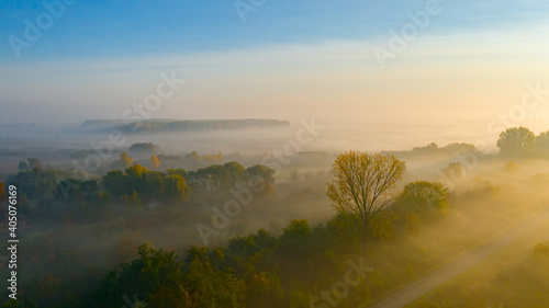 Aerial view of early morning mist over small rustic road among forest trees