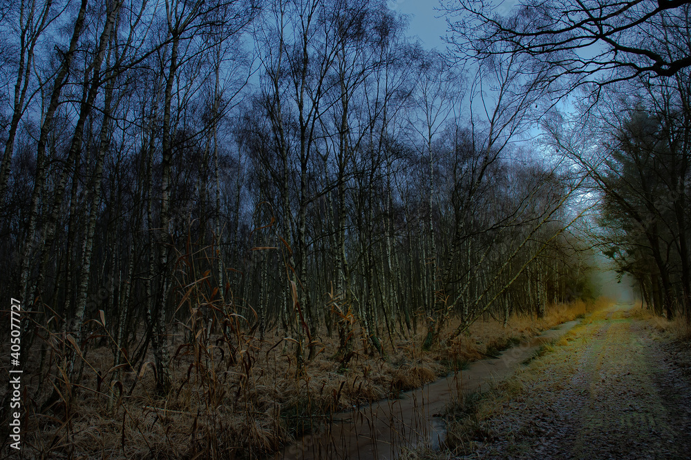 Naklejka premium neben dem Graben