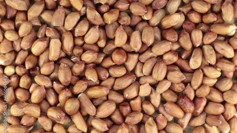 Raw peanuts in their husks rotate in a circle close-up. Peanut grains revolve around them. Frames from natural organic snacks. View from above Raw peanuts in their husks rotate in a circle close-up. Peanut grains revolve around them. Frames from natural organic snacks. View from above