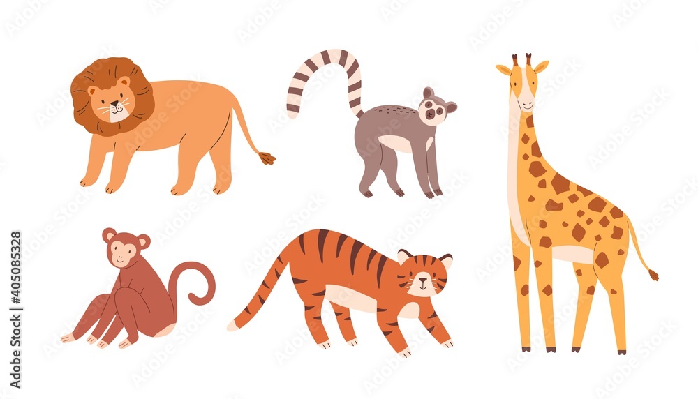 Fototapeta premium Set of cute zoo or wild animals. Lion, sloth, giraffe, monkey and tiger. Collection of terrestrial mammals isolated on white background. Exotic fauna. Childish colored flat vector illustration
