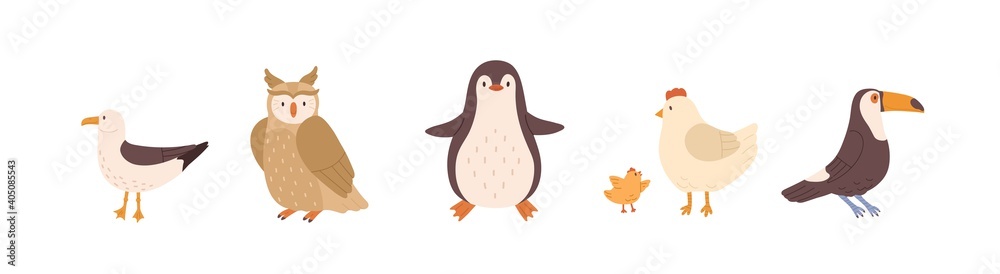 Fototapeta premium Set of front and side views of cute birds. Gull, owl, penguin, chicken, hen and toucan isolated on white background. Colored flat vector illustration