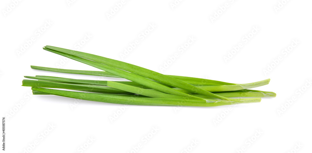 Chinese chives, Garlic chives isolated on white background.