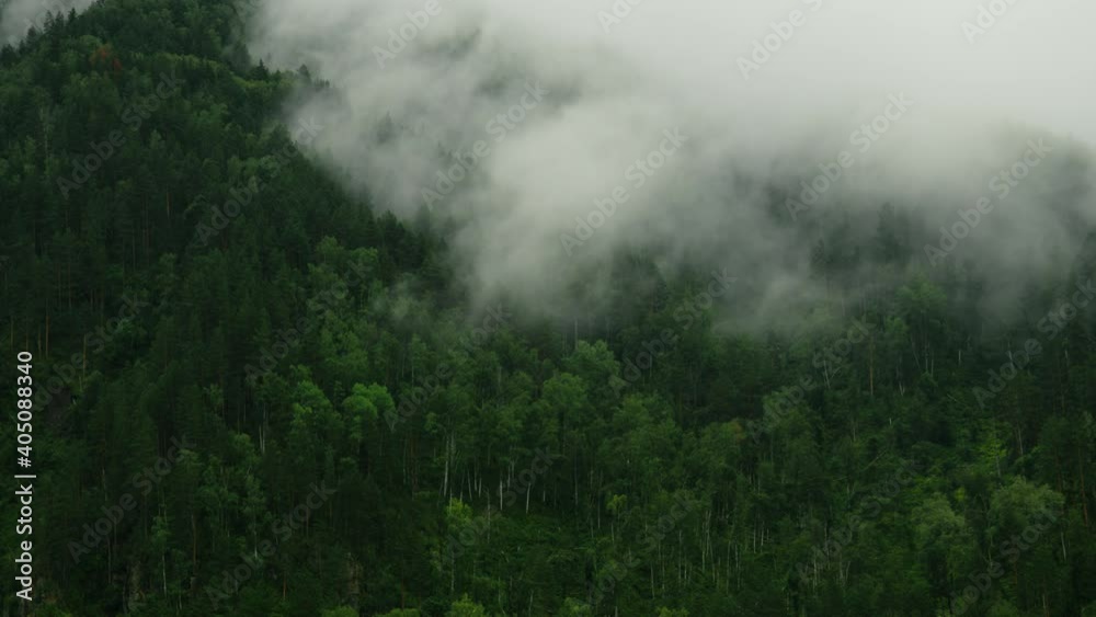 Timelapse: Morning floating fog in the wild mountain forests, in the taiga. Gray rainy cold morning, white dense fog. The concept of wildlife, ecology. Fog like smoke from a forest fire. 4K Timelapse: Morning floating fog in the wild mountain forests, in the taiga. Gray rainy cold morning, white dense fog. The concept of wildlife, ecology. Fog like smoke from a forest fire. 4K