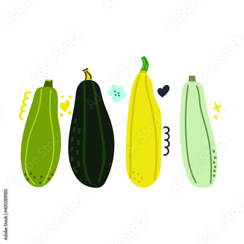 Hand drawn set of zucchini. Cute flat illustration.