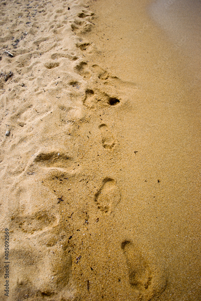 footsteps on the sand footsteps on the sand