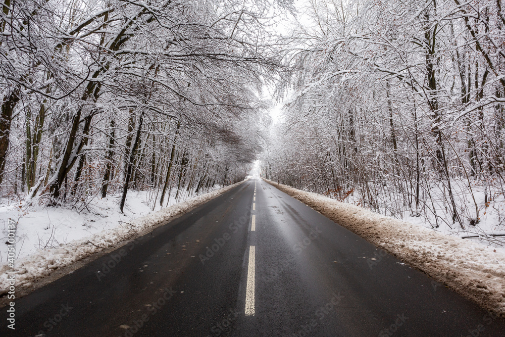 Forest road in idyllic winter landscape. Forest road in idyllic winter landscape.