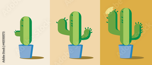 Mexican cactus isolated, growth progress, flat vector stock illustration with steps of growing houseplant or exotic plant