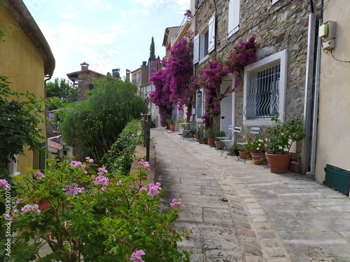 Fototapeta Naklejka Na Ścianę i Meble -  Village de Grimaud , Provence, Cote d'azur