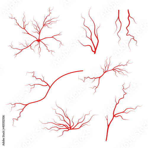Veins icon set