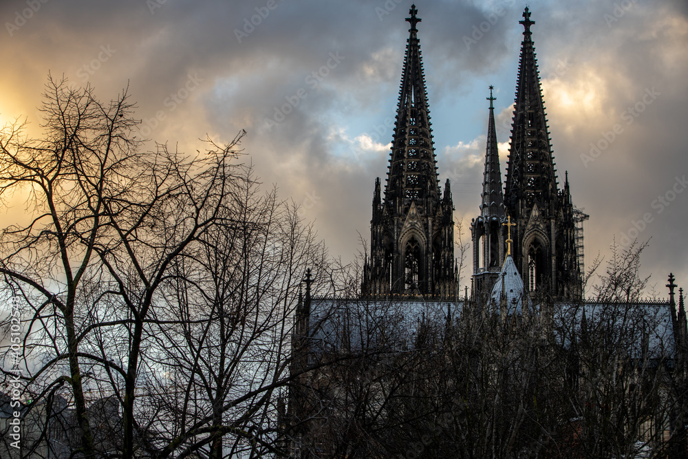 Fototapeta premium Cologne Cathedral and trees in German winter at sunset
