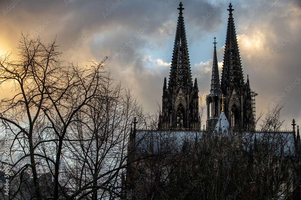 Cologne Cathedral and trees in German winter at sunset