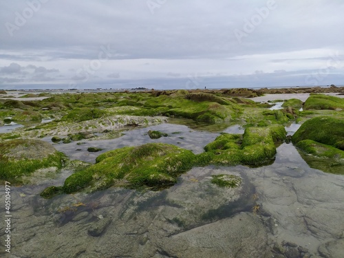 Marée basse bretagne , estran, guilvinec