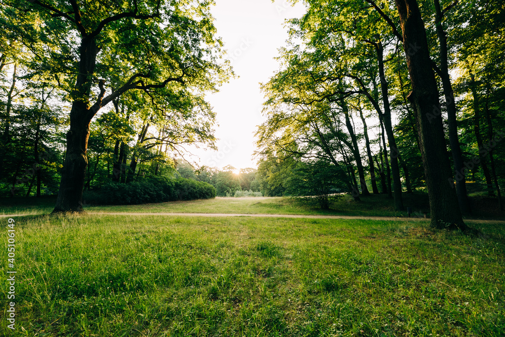 Branitzer Park in Cottbus, Germany, in the early morning hours Branitzer Park in Cottbus, Germany, in the early morning hours