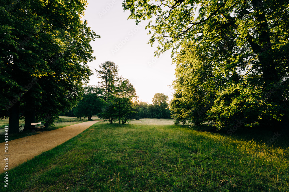 Obraz premium Branitzer Park in Cottbus, Germany, in the early morning hours
