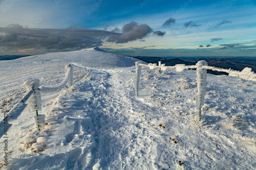 Fototapeta premium Górski szlak Połoniną Caryńską w czasie zimy, Bieszczady, Polska