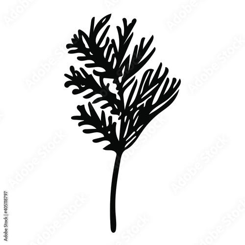 Cute hand-drawn dill sprig. Doodle vector illustration for vegetable blanks, cooking recipes and kitchen design.