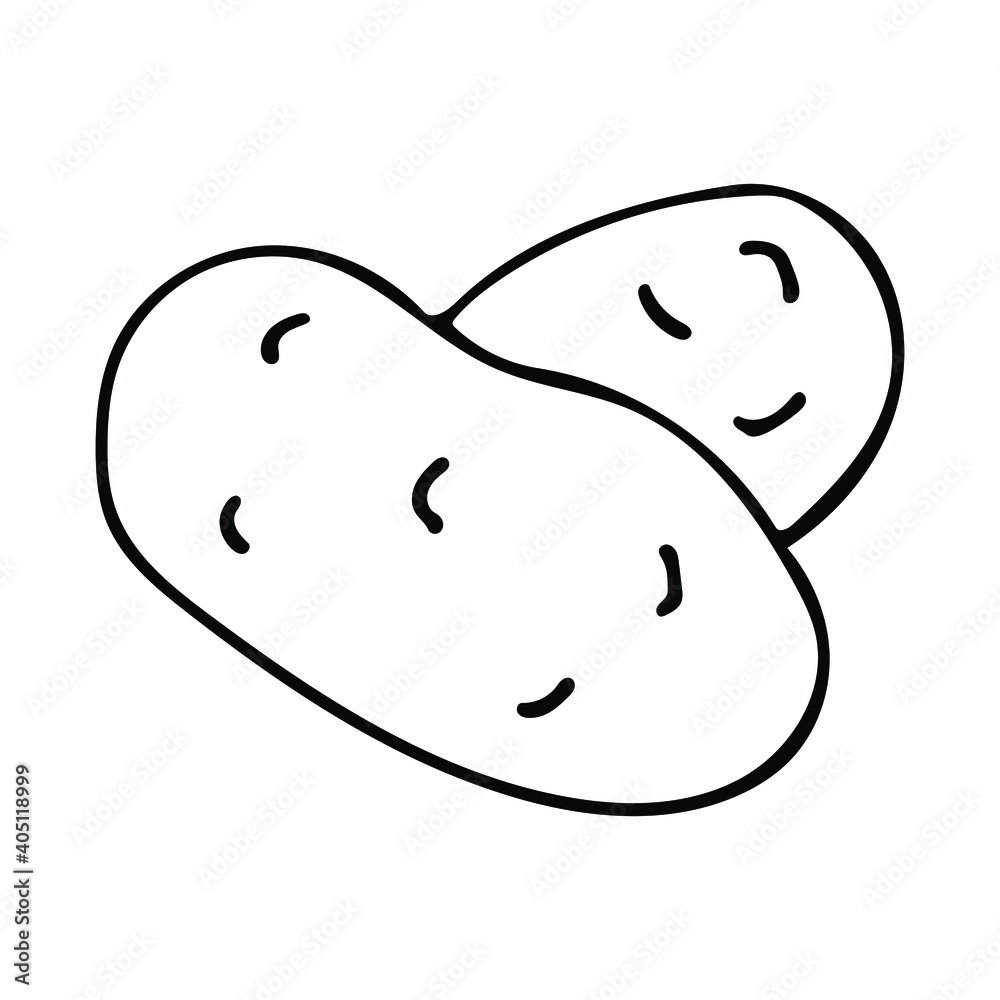 Cute hand drawn vegetable - potato. Doodle vector illustration for vegetable blanks, cooking recipes and kitchen design. Cute hand drawn vegetable - potato. Doodle vector illustration for vegetable blanks, cooking recipes and kitchen design.