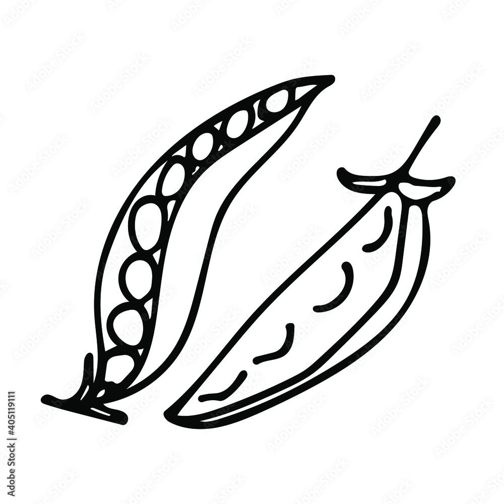 Cute hand-drawn pea pods. Doodle vector illustration for vegetable blanks, cooking recipes and kitchen design. Cute hand-drawn pea pods. Doodle vector illustration for vegetable blanks, cooking recipes and kitchen design.