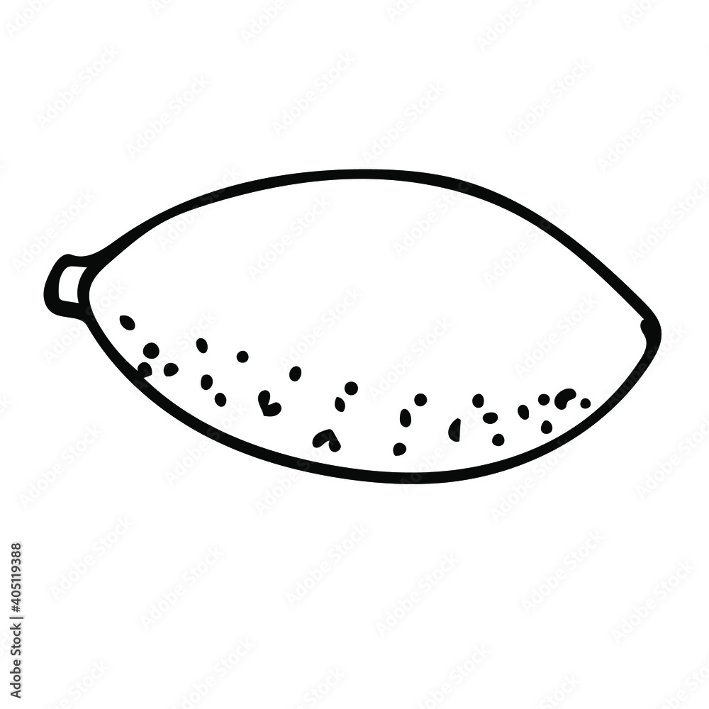 One vector element with a hand-drawn lemon doodle. Illustrations for juices, jams, cooking recipes, and kitchen design. One vector element with a hand-drawn lemon doodle. Illustrations for juices, jams, cooking recipes, and kitchen design.