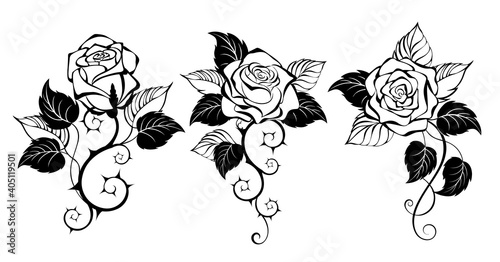 Three outline roses