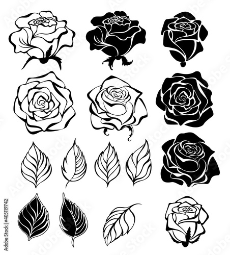 Contour rose buds and leaves
