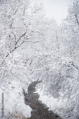 Nieve en españa, aragon, zaragoza, invierno blanco, arboles , nevada, frio, paisaje, parque, rio conjelado. © Dina