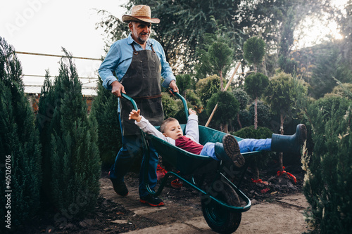 grandfather giving ride to his grandson in wheelbarrow outdoors