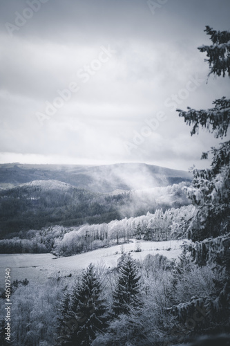 Blick auf verschneite Landschaft mit W  ldern und gefrorenen Baumkronen im Winter